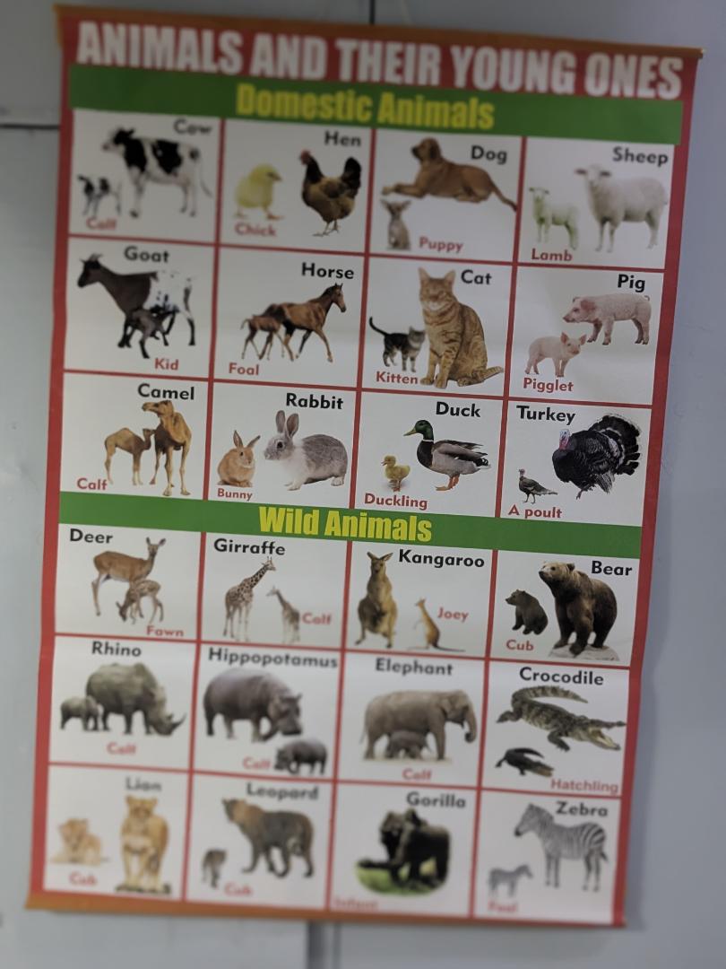 GRADE 1 EDUCATIONAL CHARTS