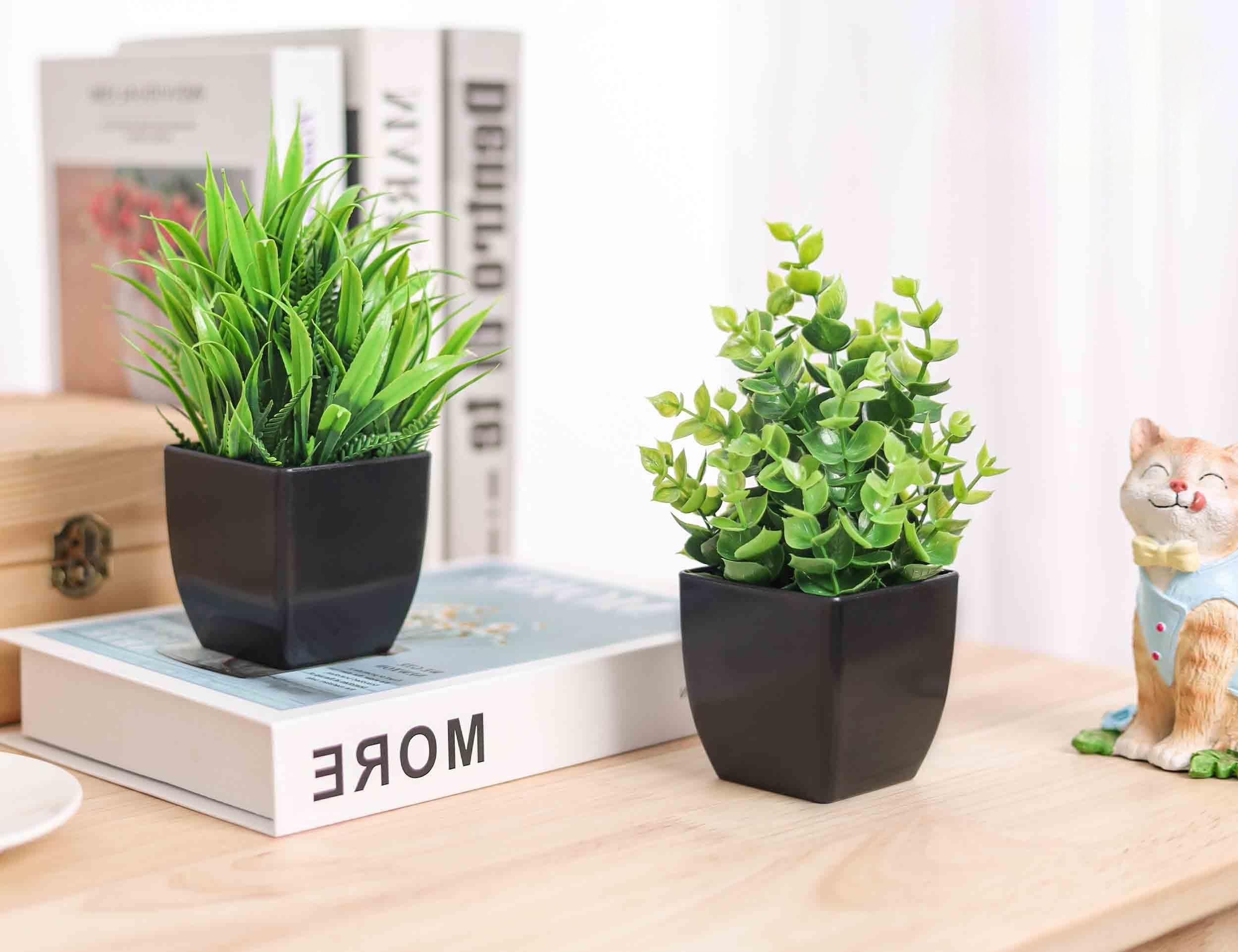 2 Pack Fake Plants Small Artificial Potted Plants Faux Plants Black Bathroom Accessories for Home Office Desk Bathroom Decor Indoor