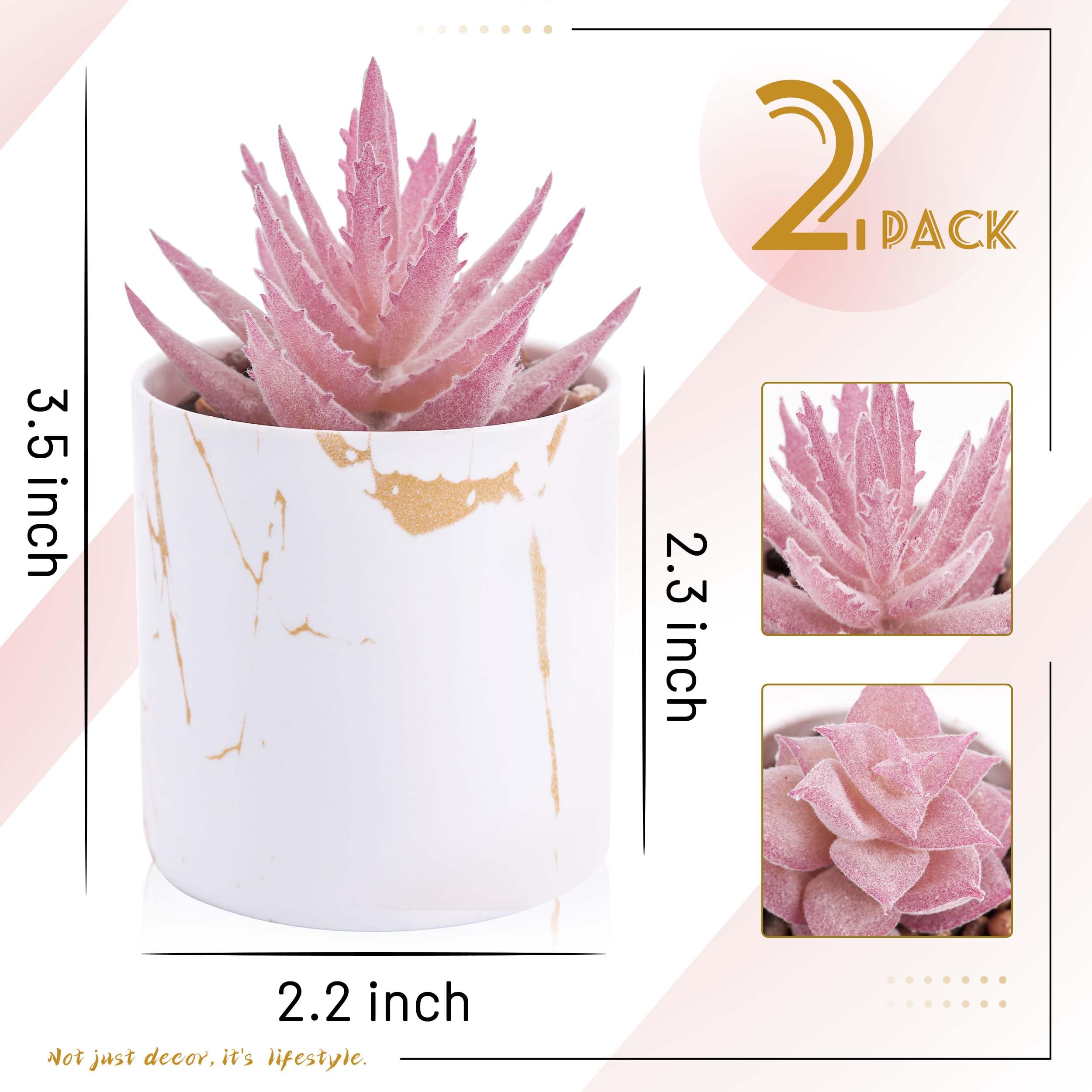 Set of 2 Succulents Plants Artificial Mini Fake Succulents Plants for Office Desk Accessories for Women Pink Home Vanity Decor