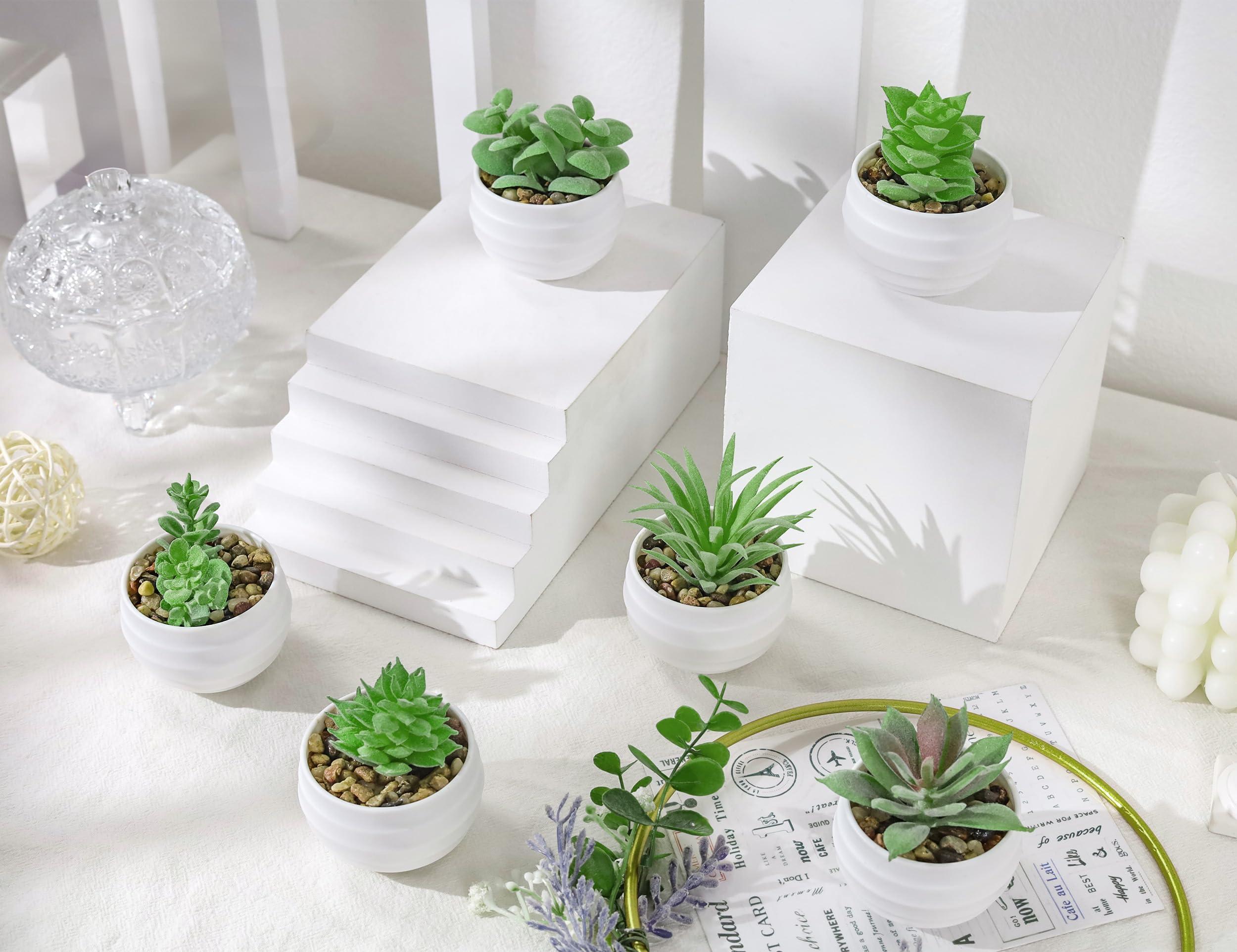 Set of 6 Succulents Plants Artificial in Pots Small Fake Plants for Bedroom Aesthetic Living Room Office Shelf Bathroom Decor