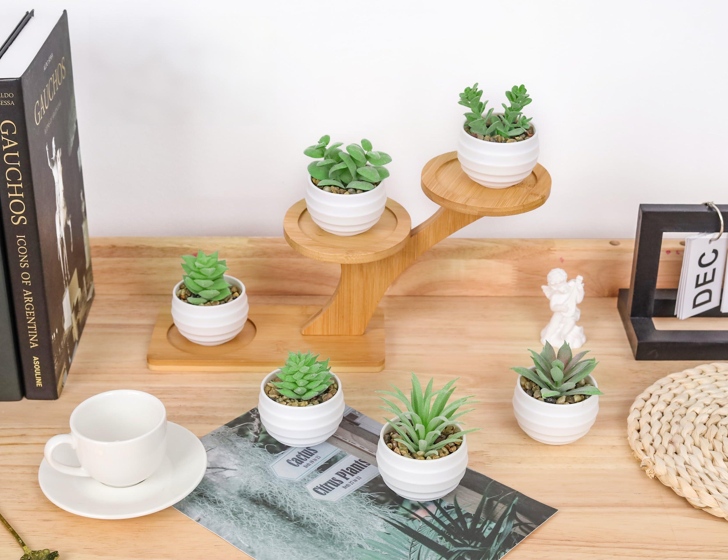 Set of 6 Succulents Plants Artificial in Pots Small Fake Plants for Bedroom Aesthetic Living Room Office Shelf Bathroom Decor