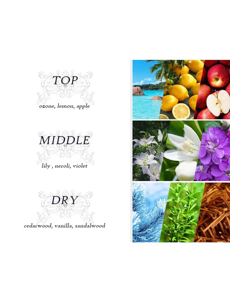 Dear Body Friday 250 ML | Unisex Body Fragrance Mist | Refreshing & Long-Lasting Scent | for All Day Freshness | (Friday)