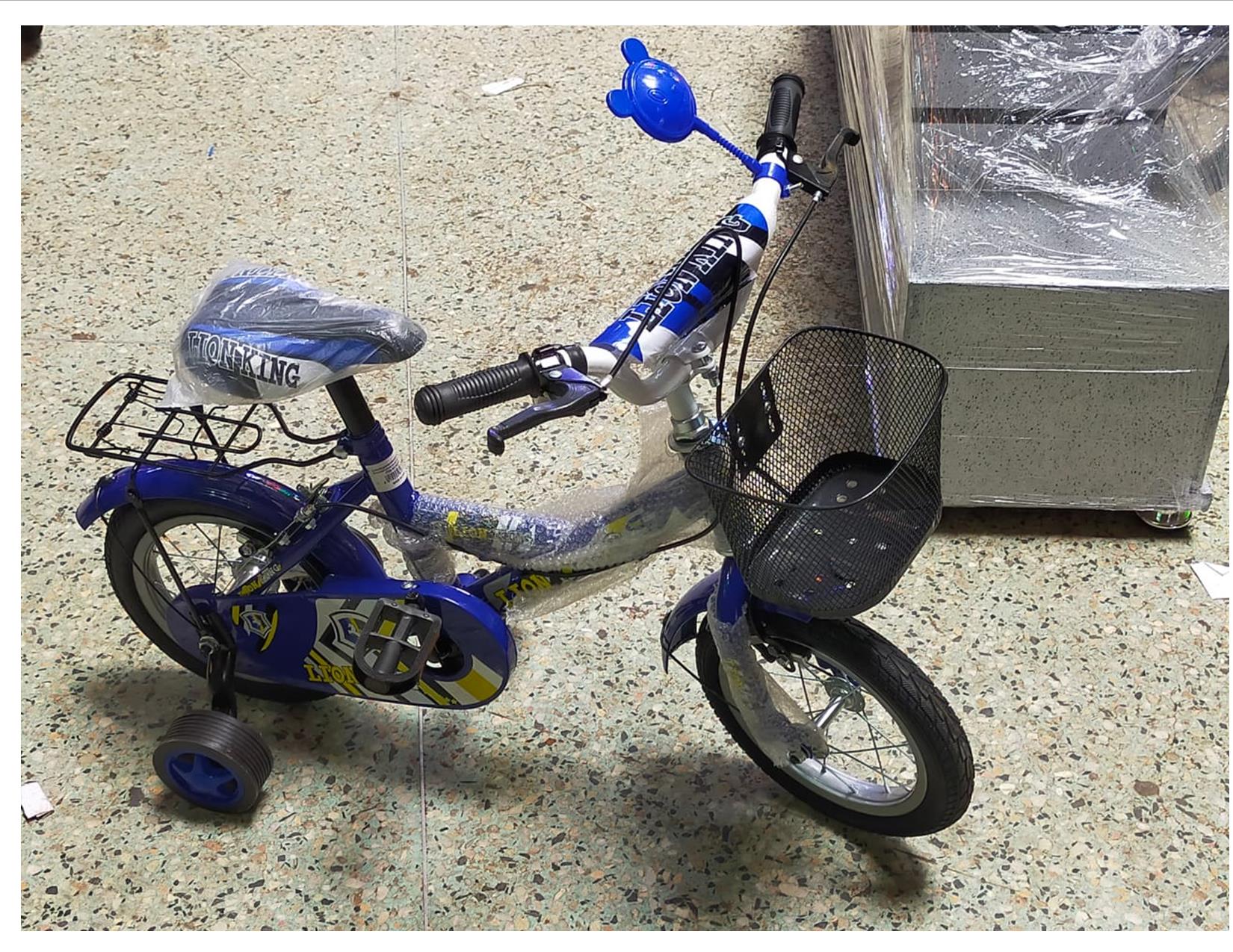 Lion King Bicycle Kids Bike For Sports Size: 12; Age 2 to 5 years(with balance wheels)