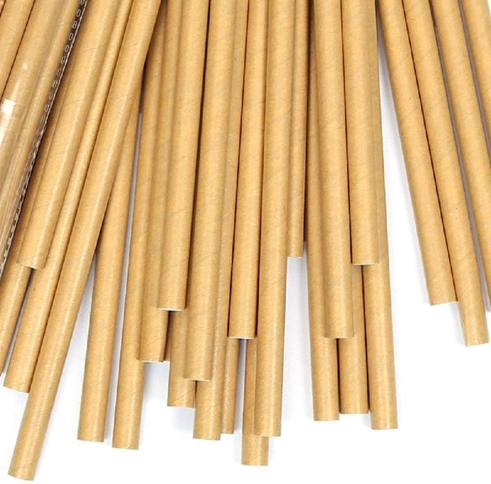 10 Pack Kraft Paper Straws Biodegradable co-Friendly Drinking Bulk for Party Supplies, Bridal/Baby Shower, Birthday, Mixed Drinks, Weddings, Restaurant, Food Service
