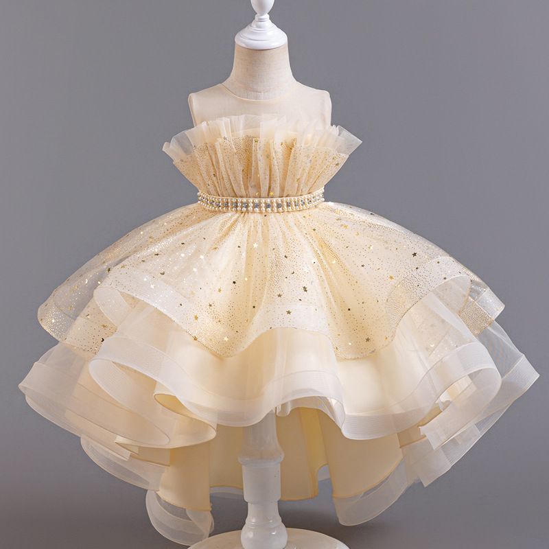 Summer new high-end girl dress fluffy mesh princess dress sleeveless trailing dress is suitable for birthday party, school Christmas party, wedding dress, performance dress.