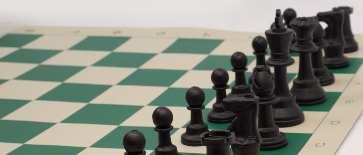 Portable Tournament Chess Board Game Mat+FREE Carrier Bag