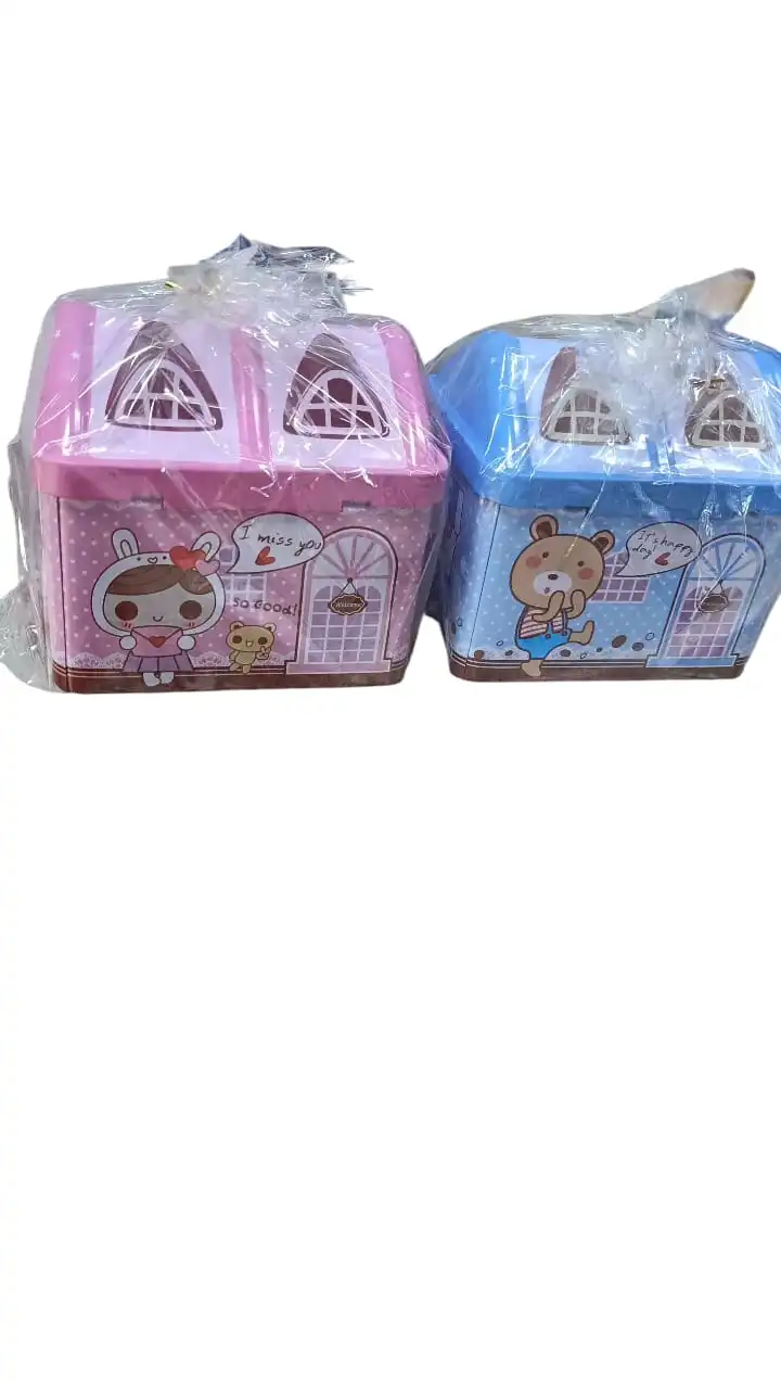 PIGGY BANK HOUSE SHAPED PIGGY BANK SMALL CASH BOX WITH LOCK AND SLOT, METAL COIN PIGGY BANK FOR ADULTS AND KIDS, PINK AND BLUE LOCKING MONEY BOX