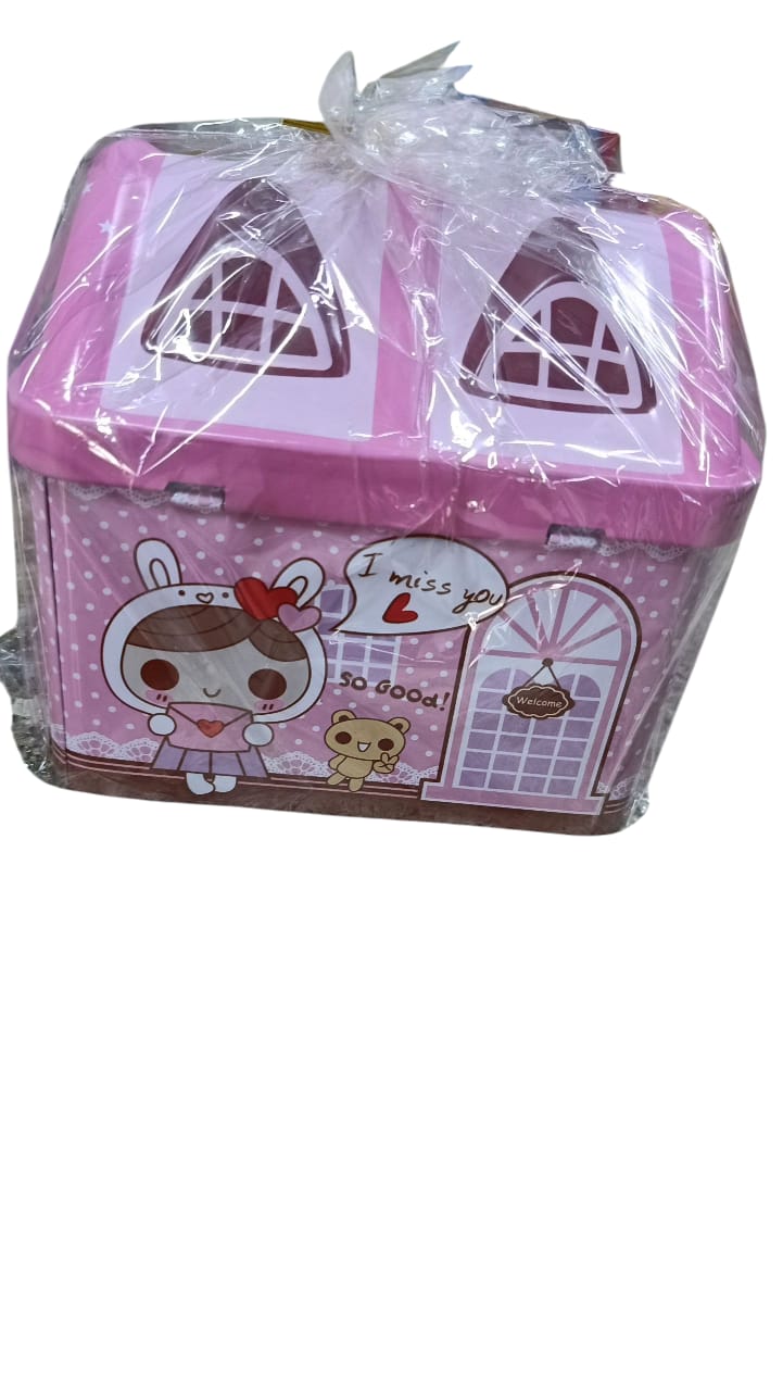 PIGGY BANK HOUSE SHAPED PIGGY BANK SMALL CASH BOX WITH LOCK AND SLOT, METAL COIN PIGGY BANK FOR ADULTS AND KIDS, PINK AND BLUE LOCKING MONEY BOX