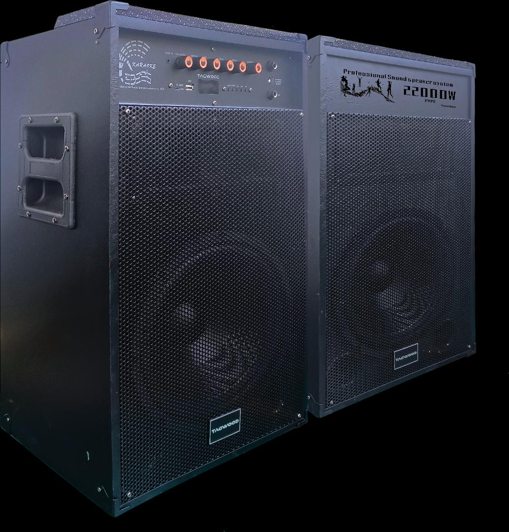 Tagwood LTS-12D Double Speaker – Powerful 12" Sound System with Dual Wireless Microphones