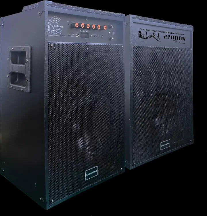 Tagwood LTS-12D Double Speaker – Powerful 12" Sound System with Dual Wireless Microphones