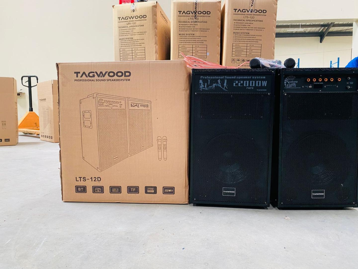 Tagwood LTS-12D Double Speaker – Powerful 12" Sound System with Dual Wireless Microphones