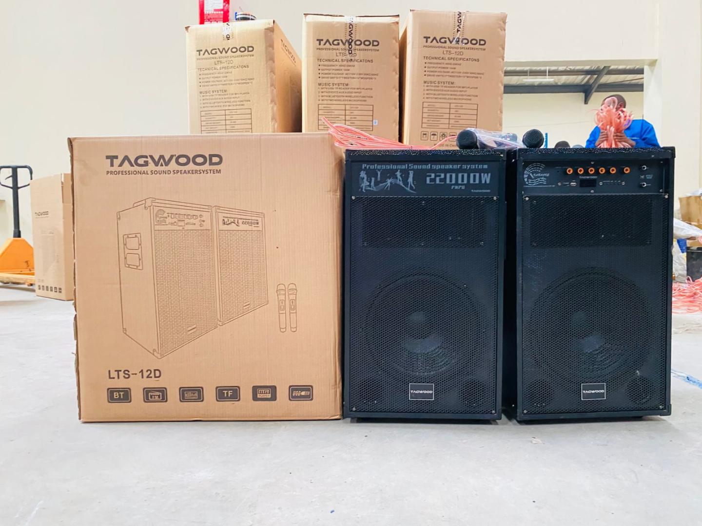 Tagwood LTS-12D Double Speaker – Powerful 12" Sound System with Dual Wireless Microphones