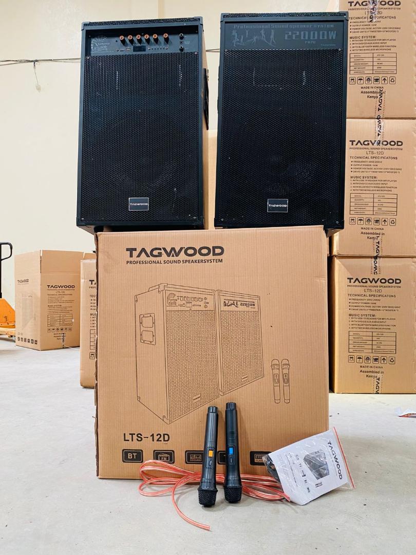 Tagwood LTS-12D Double Speaker – Powerful 12" Sound System with Dual Wireless Microphones