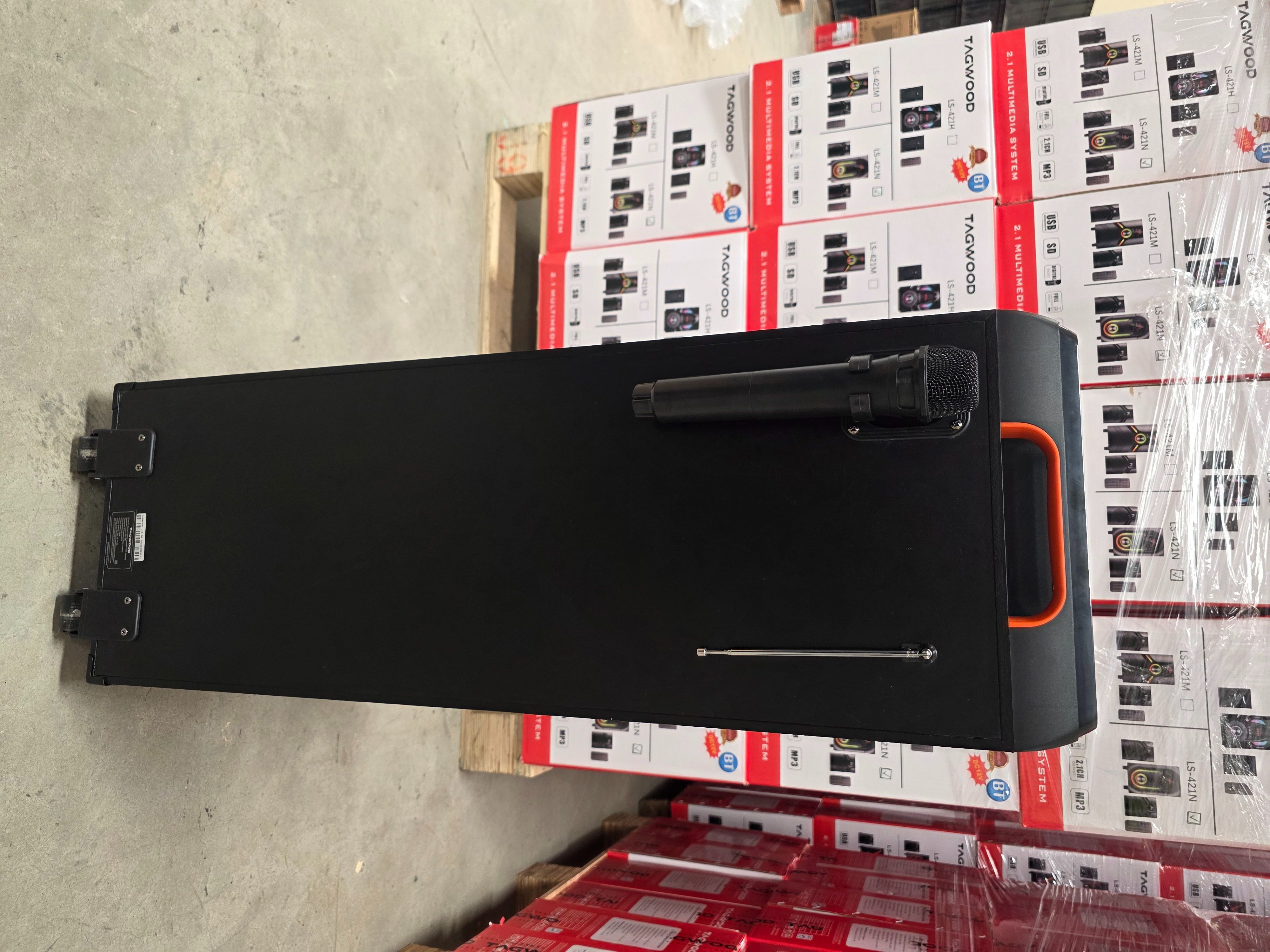 NEW TAGWOOD LTS-8B PORTABLE BEAT BOX RECHARGEABLE WITH USB/FM/BLUETOOTH AND WIRELESS MICROPHONE.