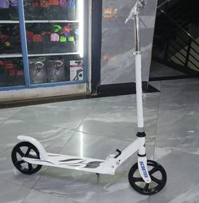 2 Wheel Scooter