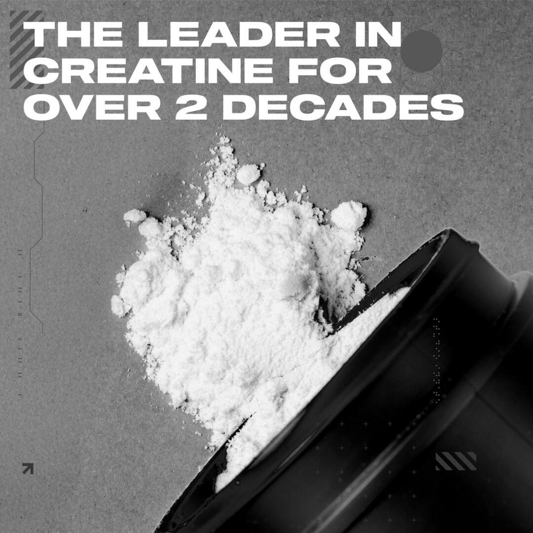 MUSCLETECH CELLTECH CREATINE Research-Backed Muscle Builder Faster muscle growth-Proven to enhance Strength and Performance-Improve Recovery NET WT 3LBS