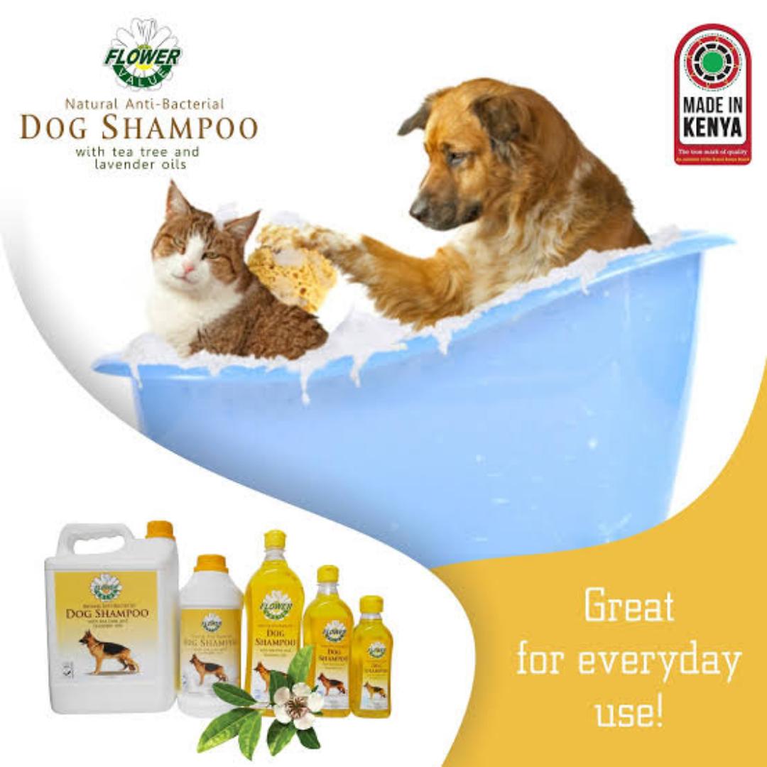 Flower Value Natural Anti Bacterial Dog Shampoo With Tea Tree And Lavender Oil