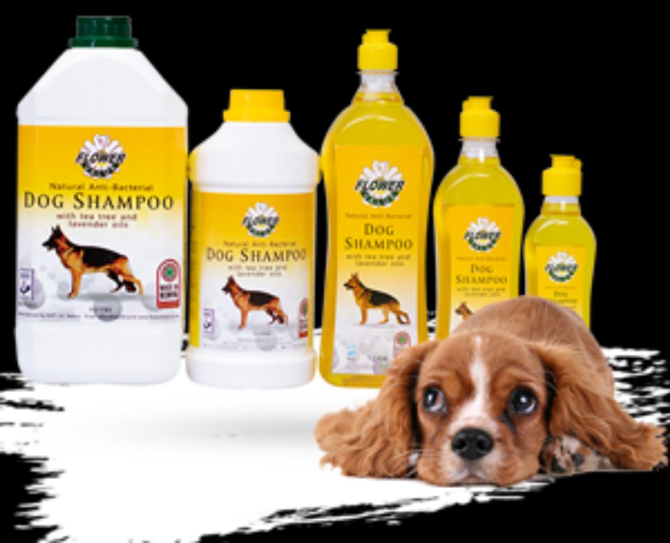 Flower Value Natural Anti Bacterial Dog Shampoo With Tea Tree And Lavender Oil