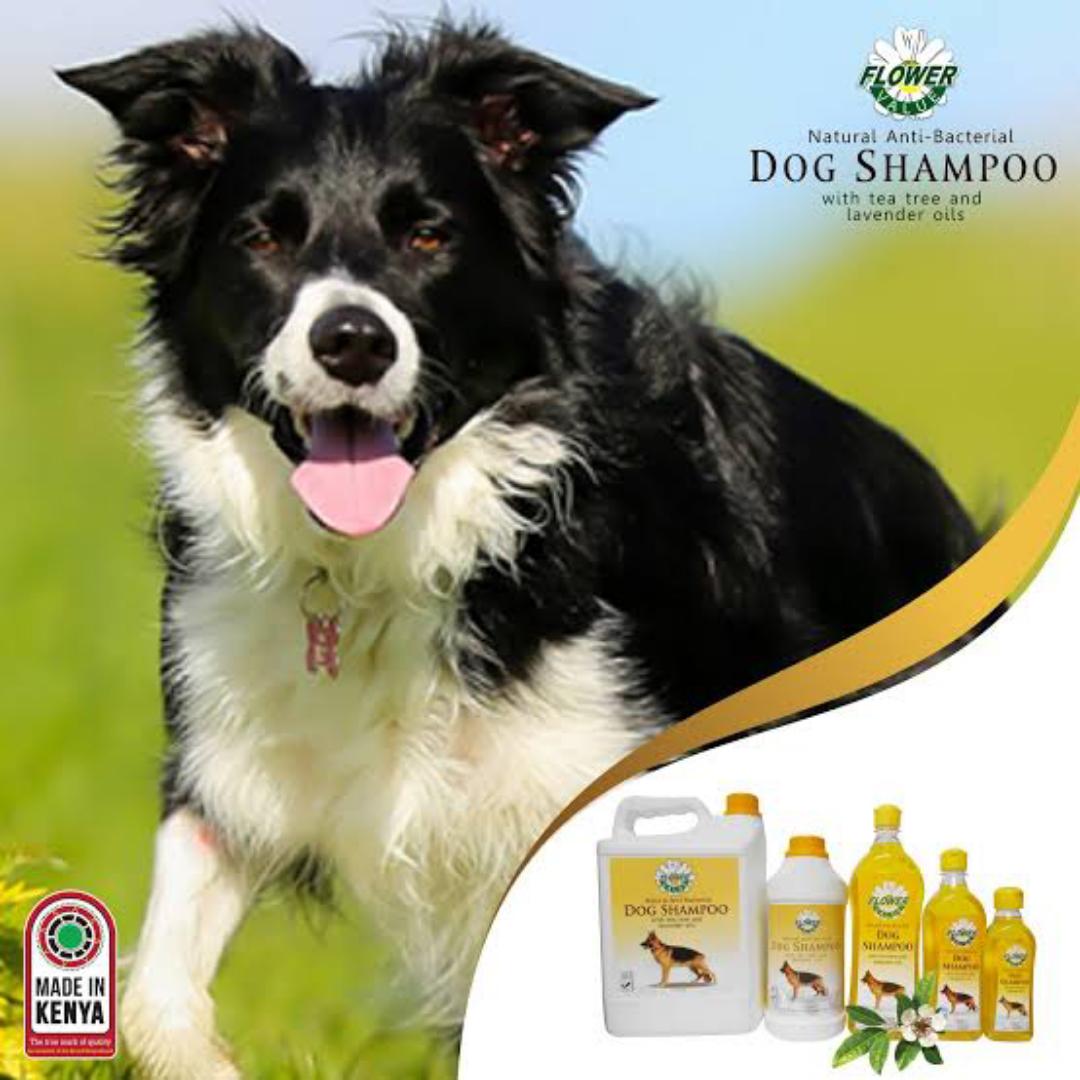 Flower Value Natural Anti Bacterial Dog Shampoo With Tea Tree And Lavender Oil
