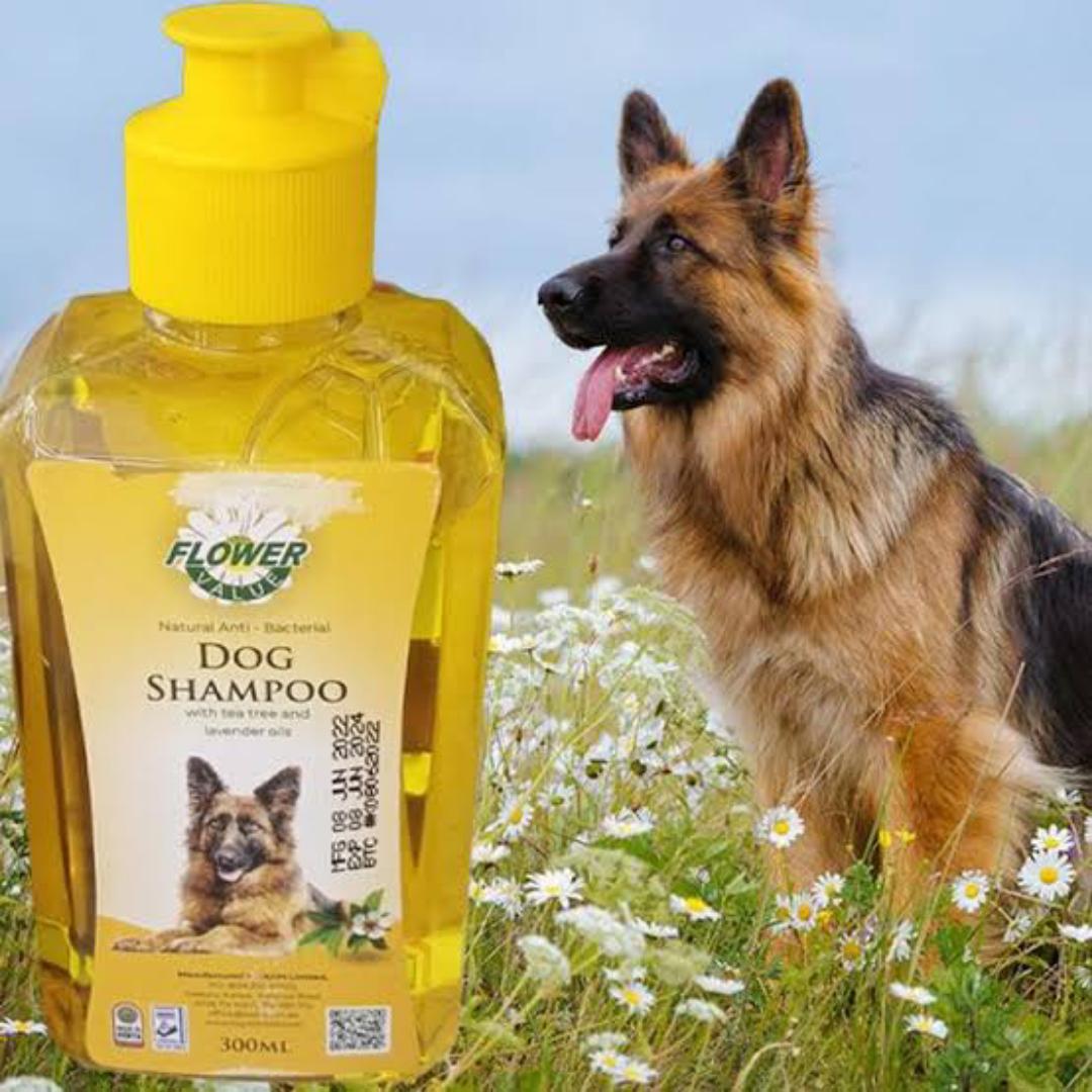 Flower Value Natural Anti Bacterial Dog Shampoo With Tea Tree And Lavender Oil