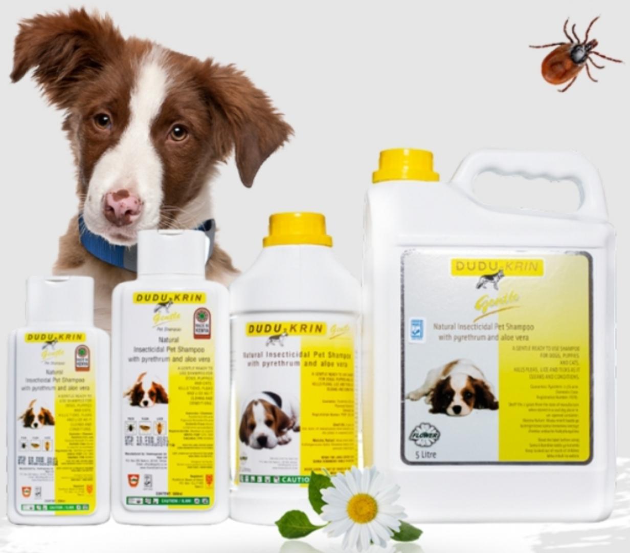 KAPI LIMITED FLOWER DUDU-KRIN GENTLE NATURAL INSECTICIDAL PET SHAMPOO WITH PYRETHRUM AND ALOE VERA GENTLE SHAMPOO FOR CATS & DOGS.KILLS TICKS,FLEAS AND LICE AS IT CLEANS AND CONDITIONS MADE IN KENYA