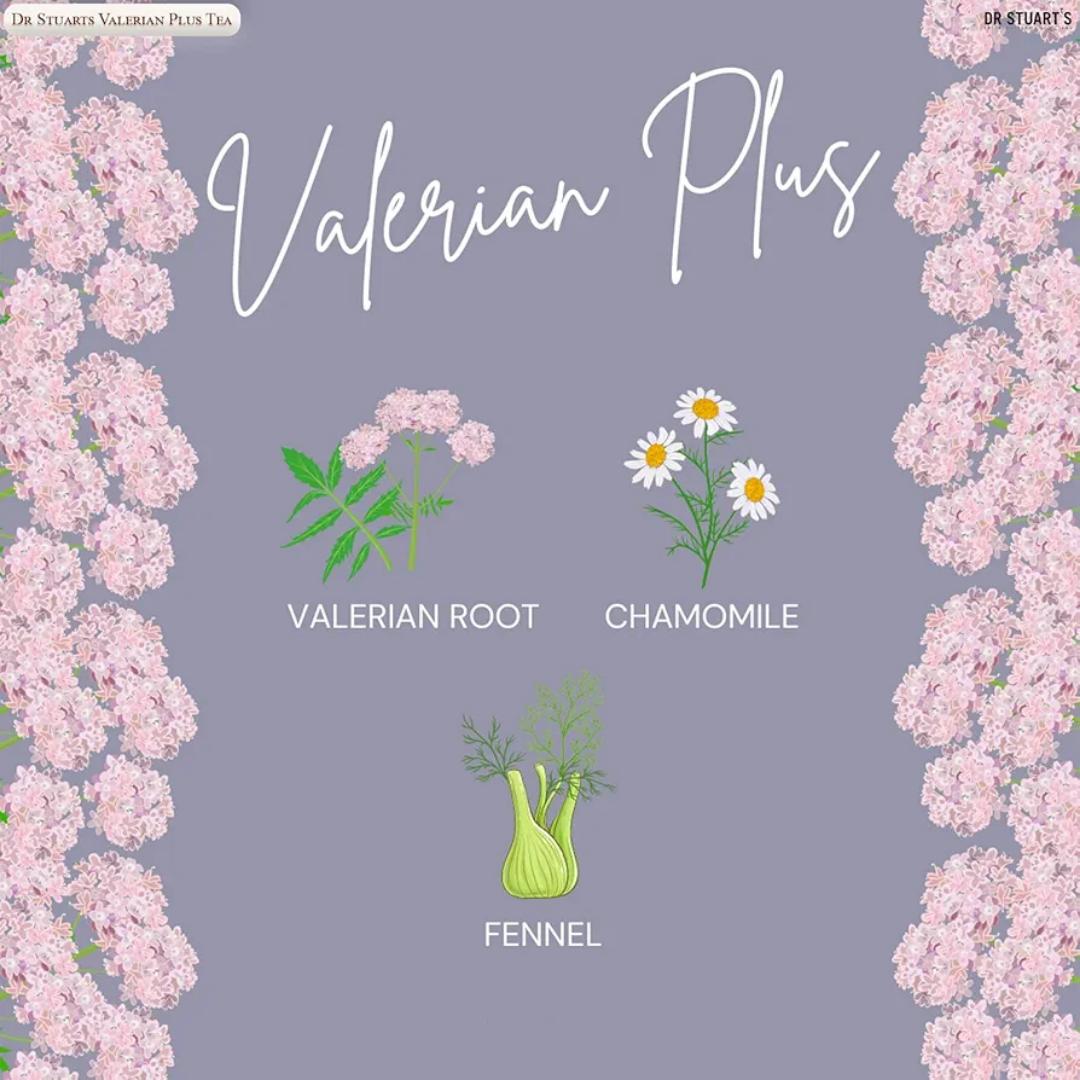 DR.STUARTS VALERIAN HERBAL TEA EXTRAORDINARILY GOOD TEAS YOUR TICKET TO BEDFORDSHIRE VALERIAN PLUS NATURALLY CAFFEINE FREE TEA 15 ENVELOPED BAGS NET.WEIGHT.0.91OZ(26 GRAMS)