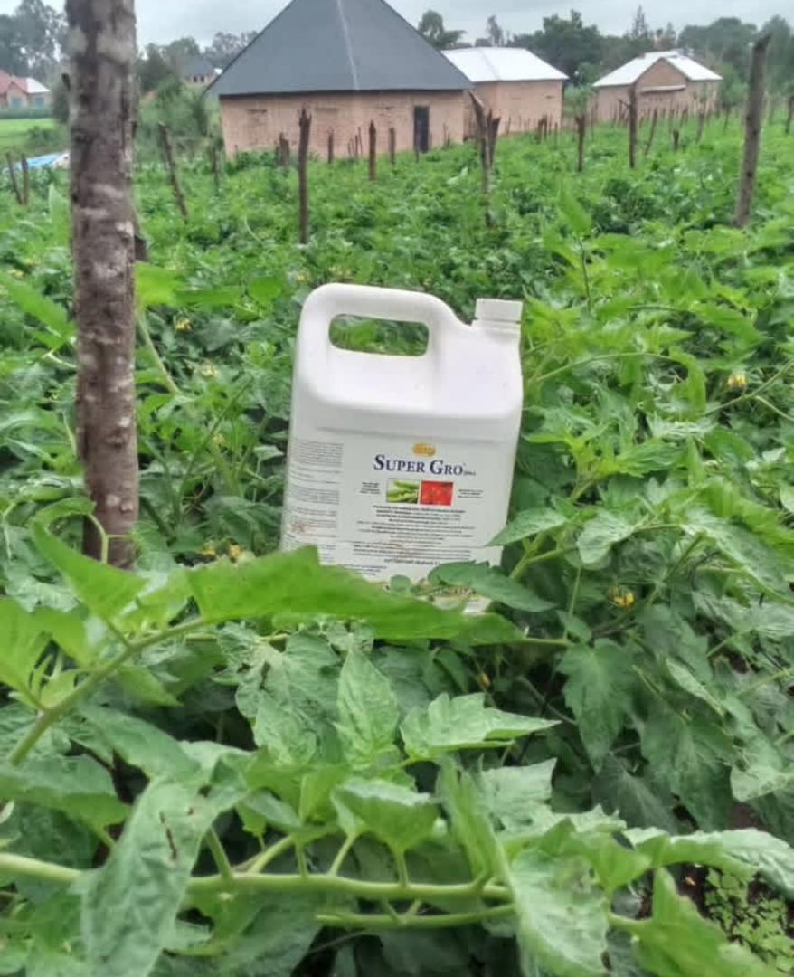 NEOLIFE GNLD SUPERGRO ADJUVANT/SURFACTANT COMMERCIAL AND AGRICULTURAL NONYL PHENOL ETHOXYLATE 20% WATER FERTILIZER MAXIMUM FARM YIELD ENHANCER CROPS & FISH CROPS BOOSTER NET CONTENT:5L/1L