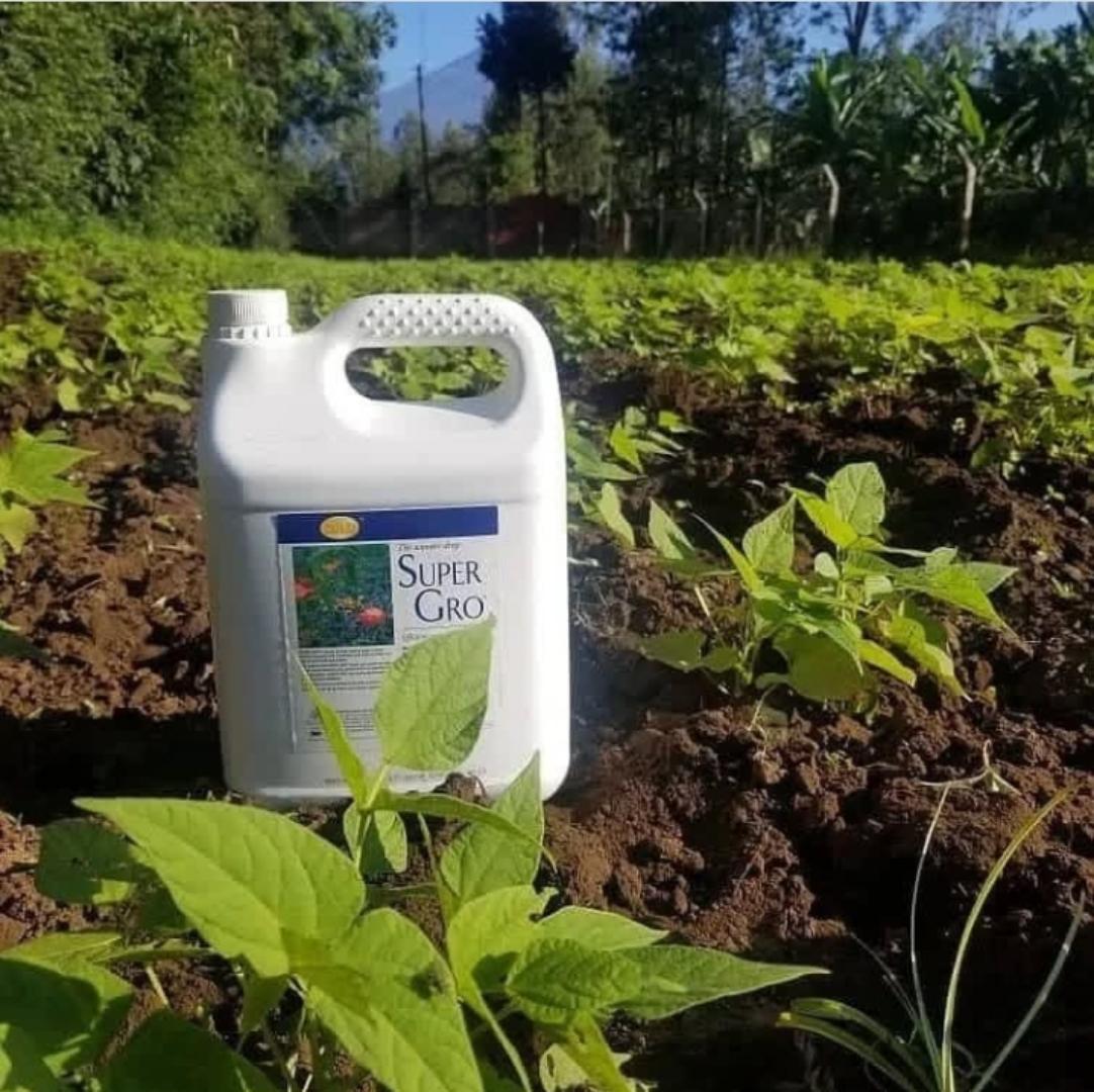 NEOLIFE GNLD SUPERGRO ADJUVANT/SURFACTANT COMMERCIAL AND AGRICULTURAL NONYL PHENOL ETHOXYLATE 20% WATER FERTILIZER MAXIMUM FARM YIELD ENHANCER CROPS & FISH CROPS BOOSTER NET CONTENT:5L/1L