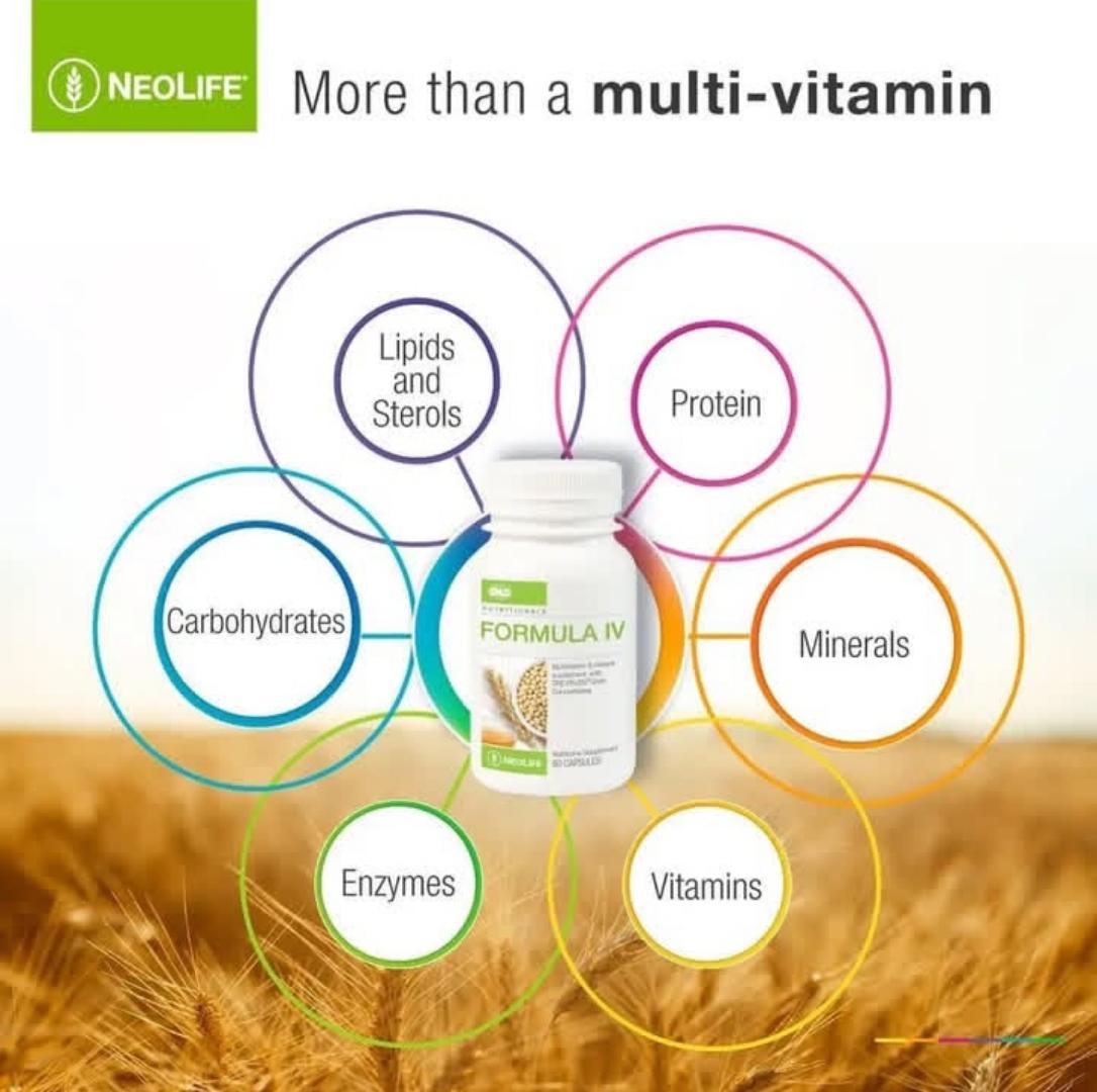 NEOLIFE GNLD NUTRITIONALS FORMULA IV MULTI-VITAMIN AND MINERAL SUPPLEMENT WITH TRE-EN-EN GRAIN CONCENTRATES NUTRITIONAL SUPPLEMENT 60/120 CAPSULES