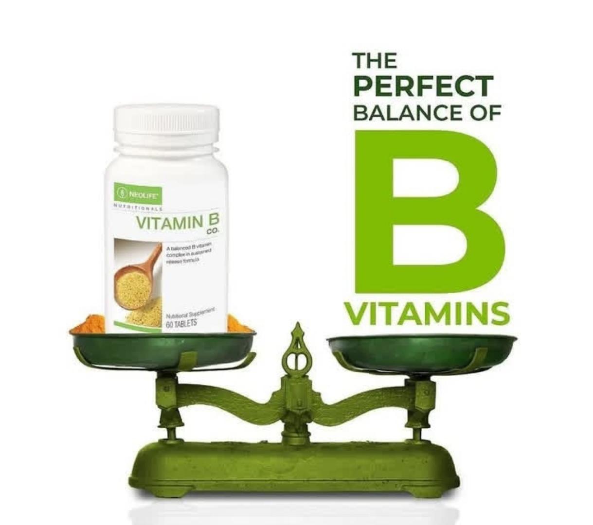 NEOLIFE GNLD NUTRITIONALS VITAMIN B Co. A BALANCED B VITAMIN COMPLEX IN SUSTAINED RELEASE FORMULA NUTRITIONAL SUPPLEMENT NEOLIFE GNLD NUTRITIONALS VITAMIN B Co
