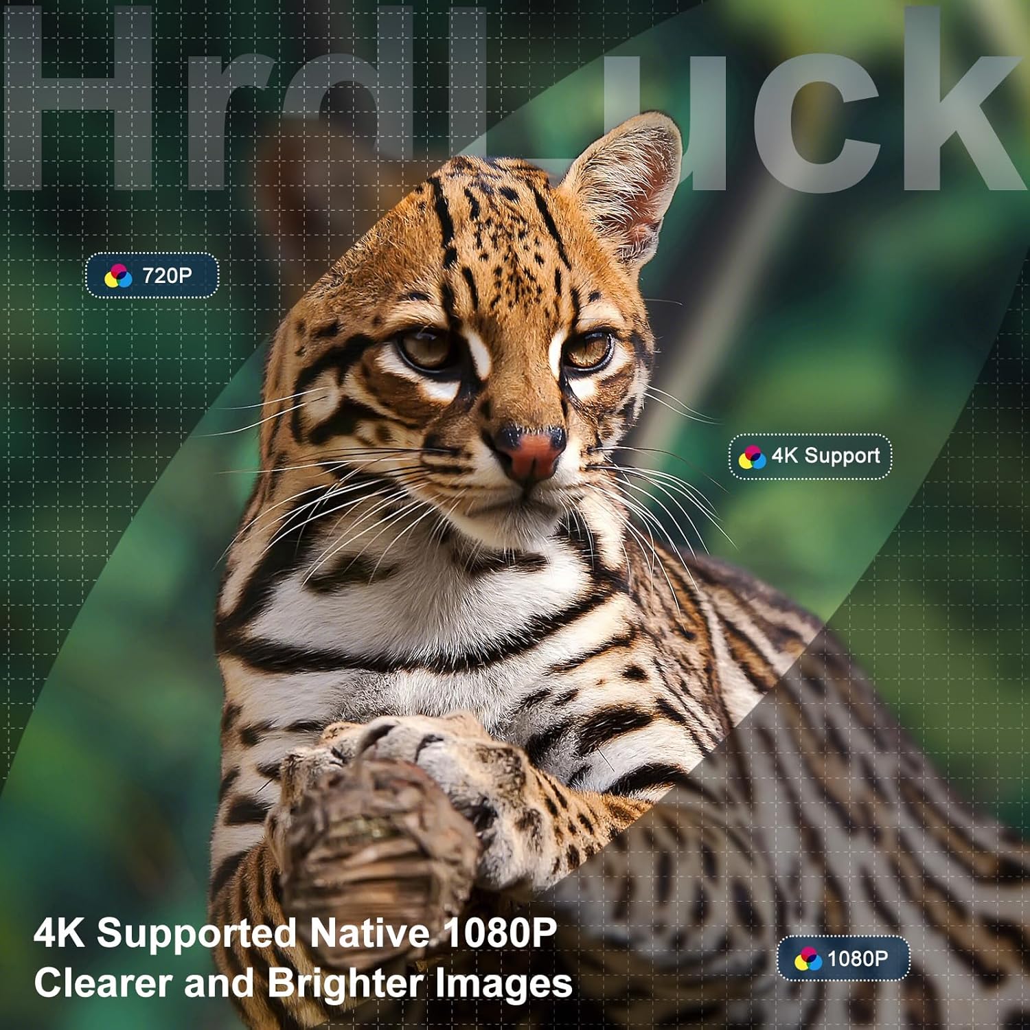 Projector with WiFi and Bluetooth, Auto Focus & Keystone, Native 1080P 12000L 4K Support, Outdoor Movie Projector for Home Theater UP to 250" Display, for HDMI/USB/iOS/Android/Laptop/TV Stick