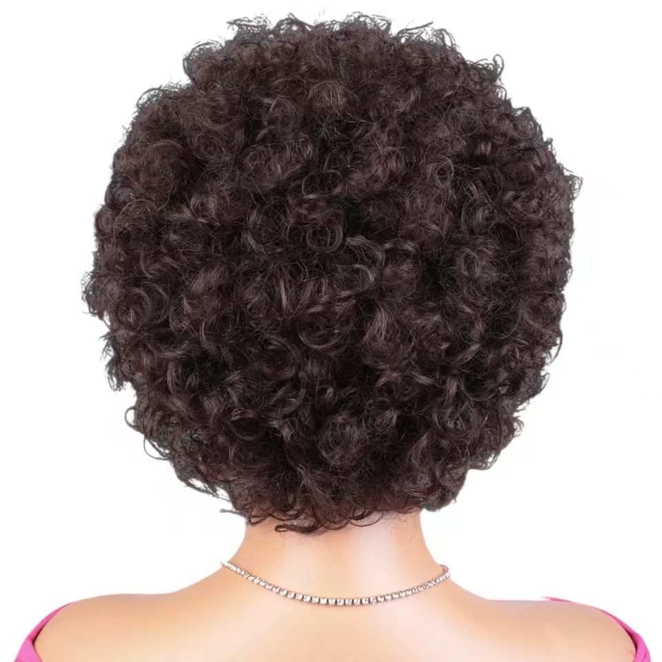 6-inch 100% Human Hair Short Afro Curly Wig, Tailor-Made for African Women- Natural Permeable Odorless Stable Easy to manage Simple Operation for Daily Use