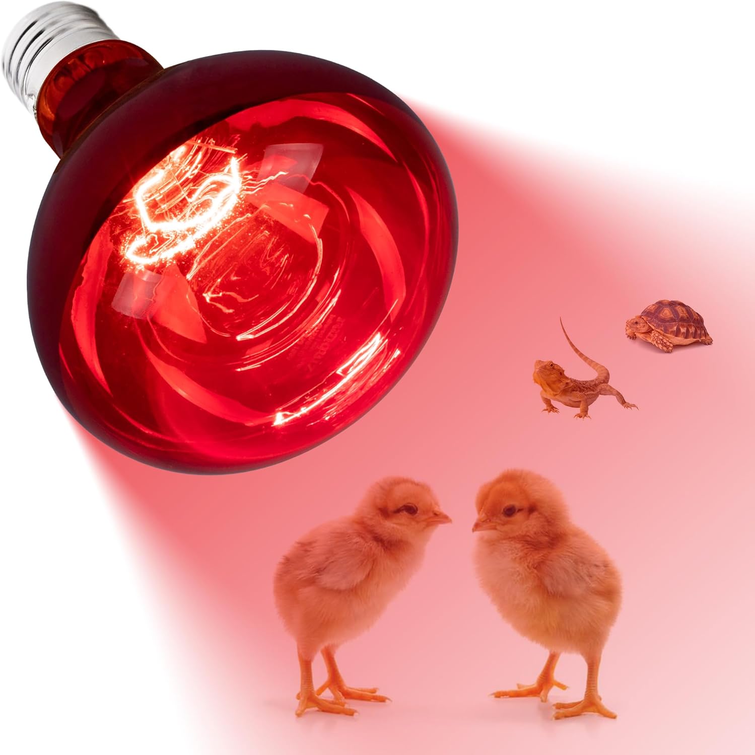 Infrared Brooder Heat Lamp Bulb, Poultry, chicken Bulb 250 Watts
Infrared Brooder Heat Lamp Bulb, Poultry, chicken Bulb 250 Watts