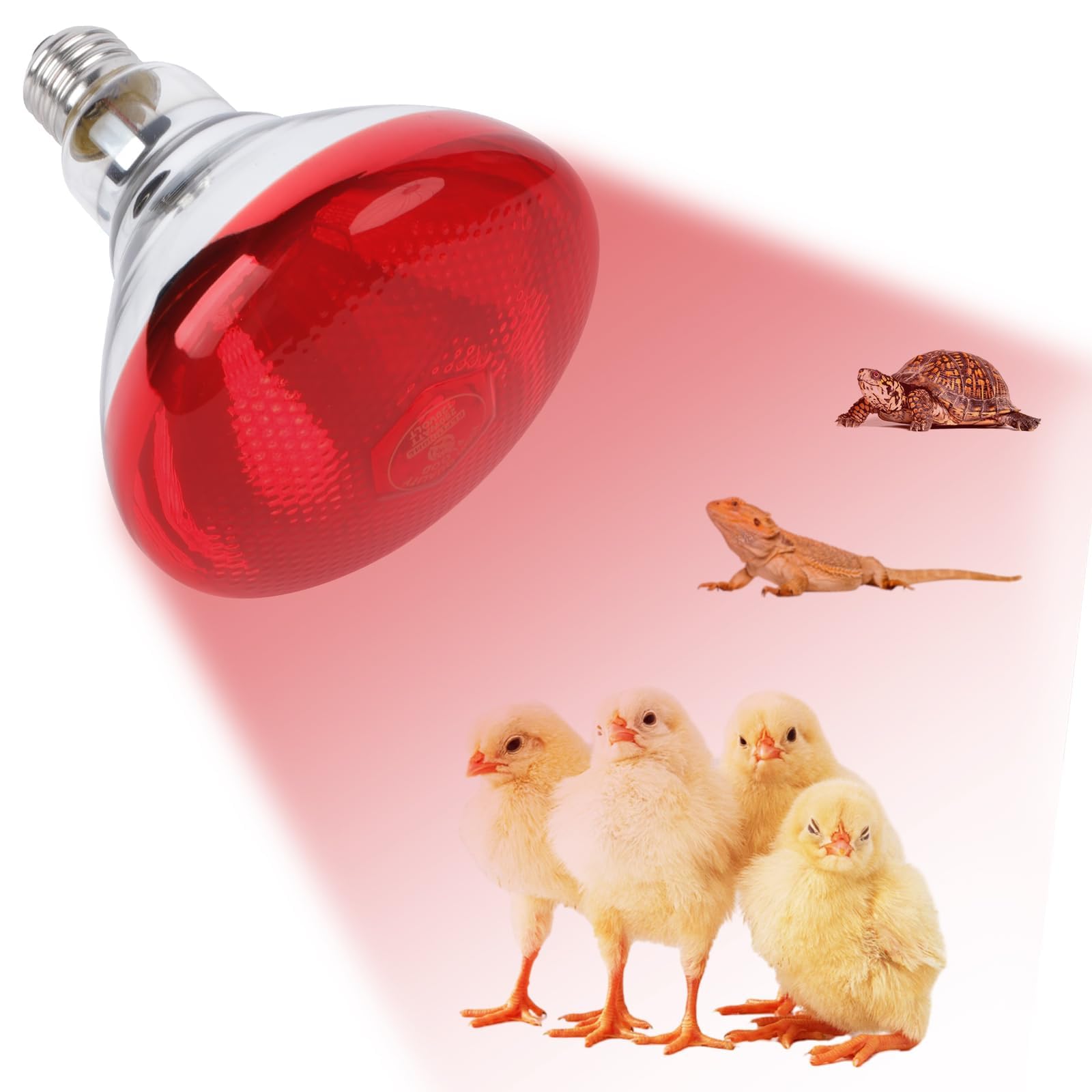 Infrared Brooder Heat Lamp Bulb, Poultry, chicken Bulb 250 Watts
Infrared Brooder Heat Lamp Bulb, Poultry, chicken Bulb 250 Watts