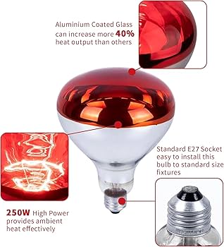 Infrared Brooder Heat Lamp Bulb, Poultry, chicken Bulb 250 Watts
Infrared Brooder Heat Lamp Bulb, Poultry, chicken Bulb 250 Watts
