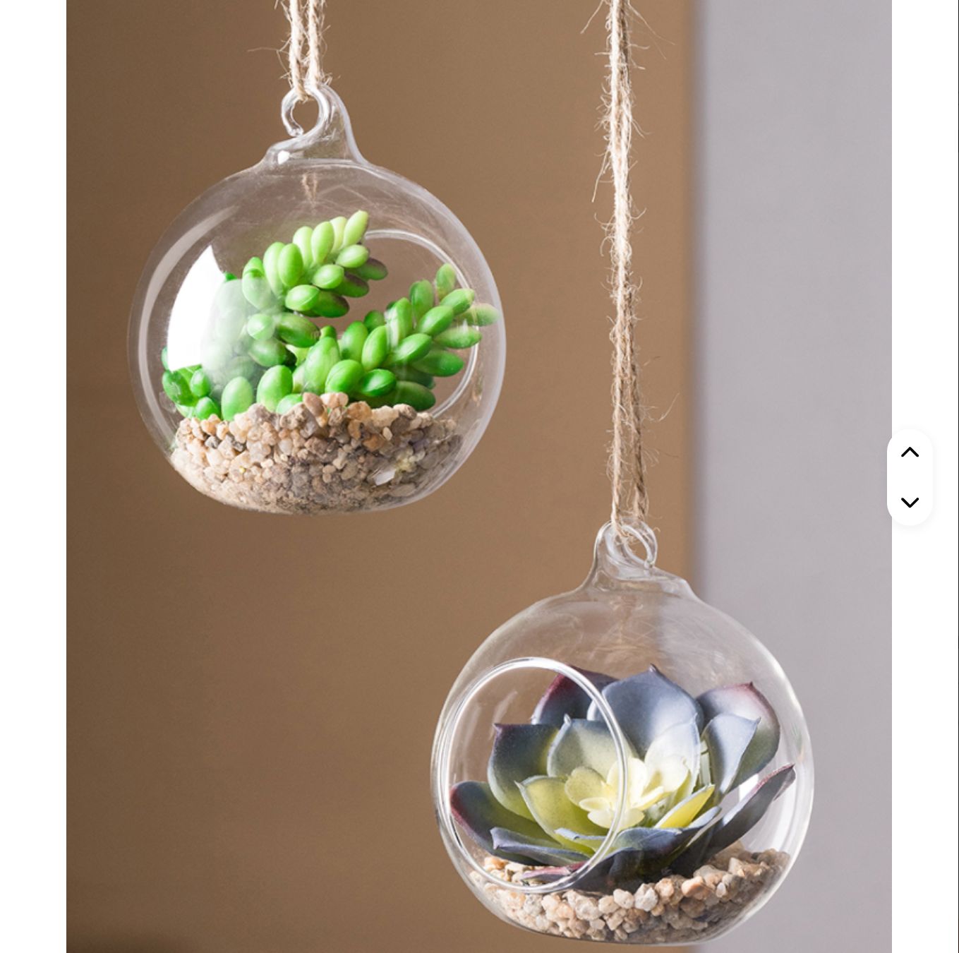 Beautiful Hanging Crystal Glass Flower Vases – Air Plant Glass Terrarium