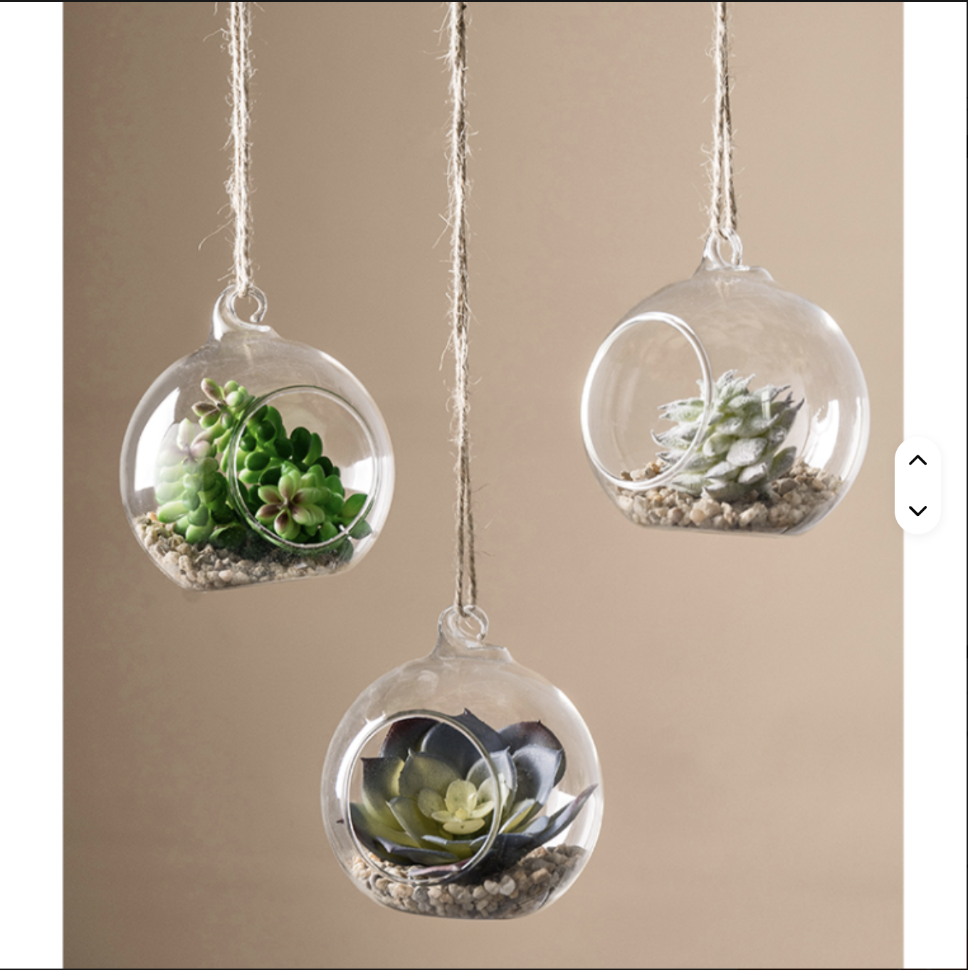 Beautiful Hanging Crystal Glass Flower Vases – Air Plant Glass Terrarium