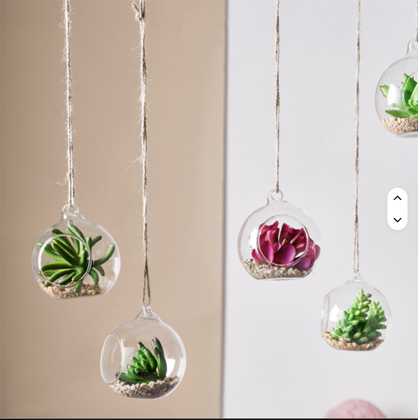 Beautiful Hanging Crystal Glass Flower Vases – Air Plant Glass Terrarium