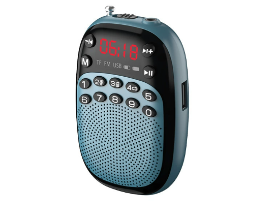 Mini Pocket FM Radio Portable Rechargeable DSP Radios Wireless Bluetooth Speaker Internal&External Recording TF USB Music Play
