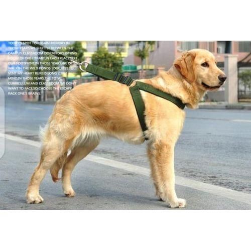 Complete Set Dog Leash/Harness with collar Strong, Comfortable & Safe for Walking Dogs/Pets