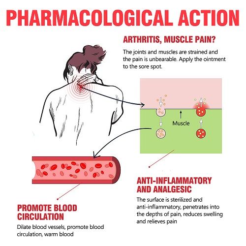Herbal Pain Relief Muscles, Joints & Arthritis Pain Spray, Instant Natural Pain Reliever For Arthritis, Joint Pain, Osteoarthritis, Sport Injuries (100ML)