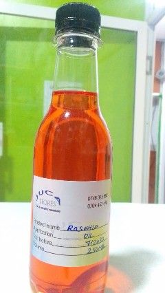 Rosehip Oil (Cold Pressed)