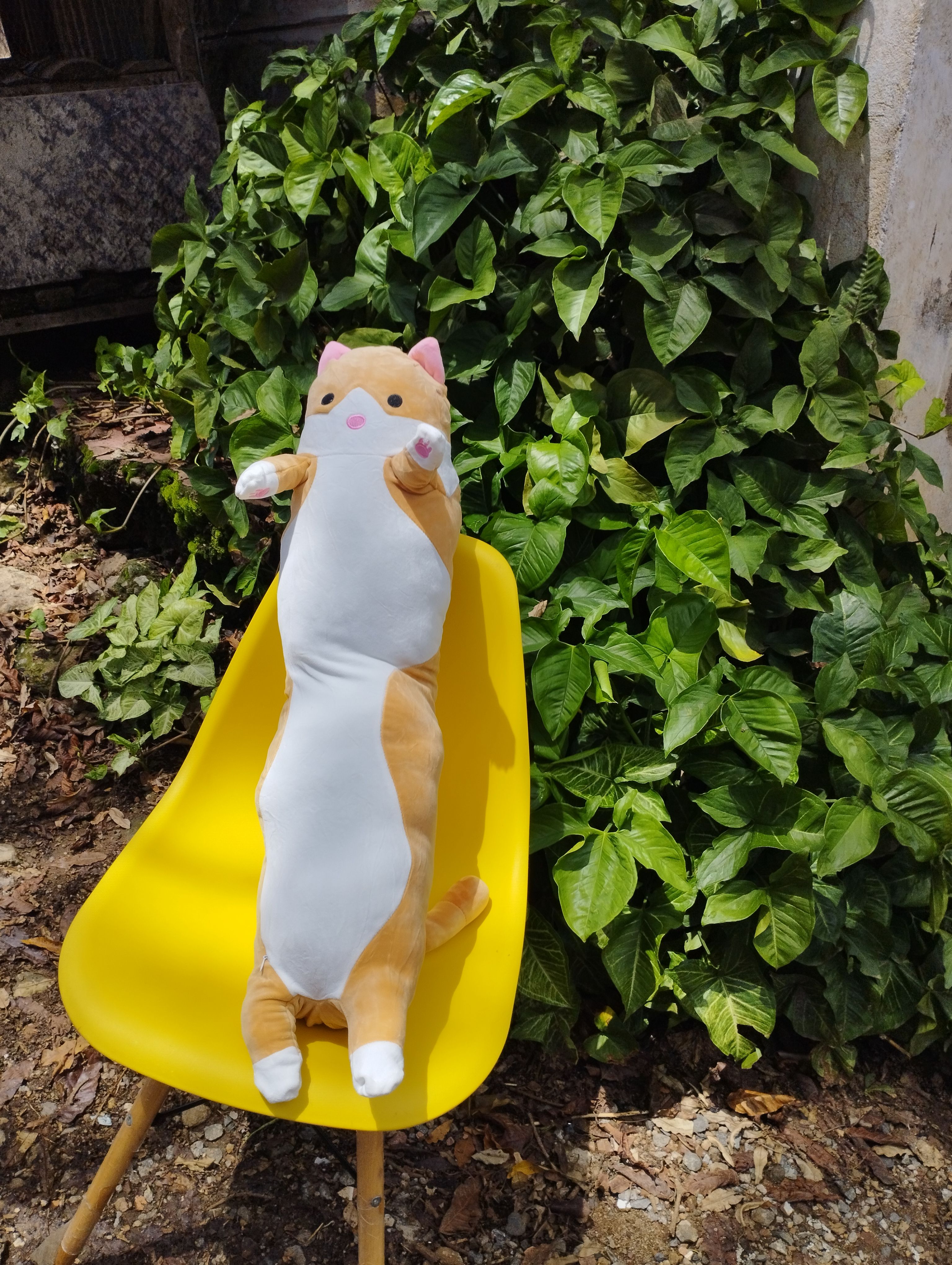 Long cat Plushie 90cm