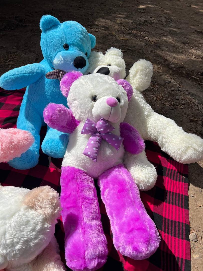 80cm Teddy bear plush toy for kids girlfriend