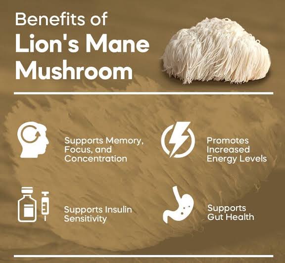Pure Lions Mane Extract Powder