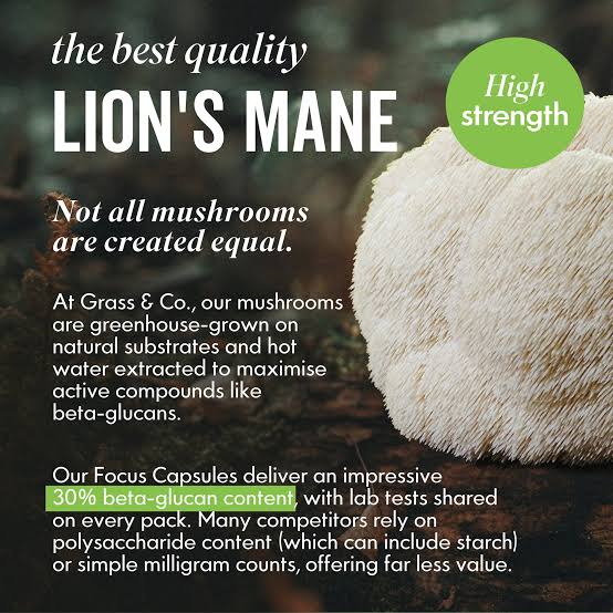 Pure Lions Mane Extract Powder