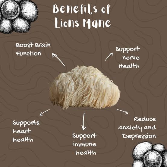 Pure Lions Mane Extract Powder