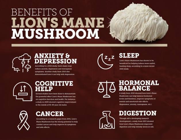 Pure Lions Mane Extract Powder
