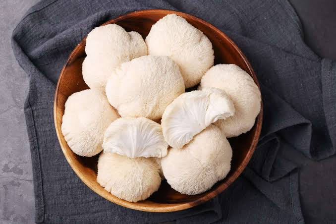 Pure Lions Mane Extract Powder