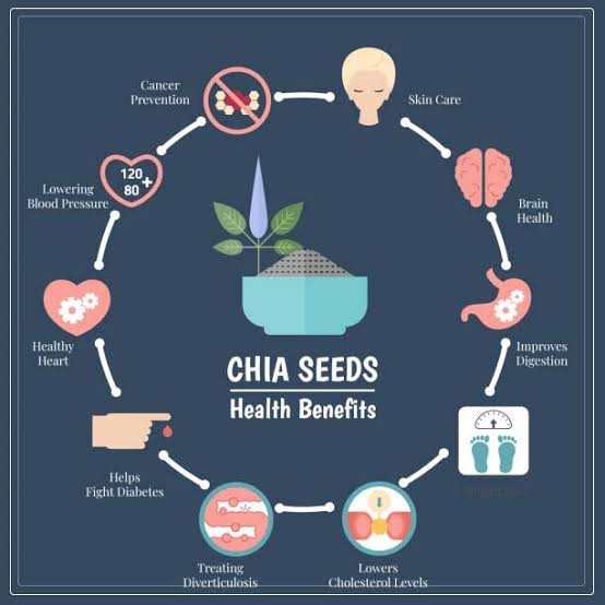 High Quality Chia Seeds - Fast Weight loss